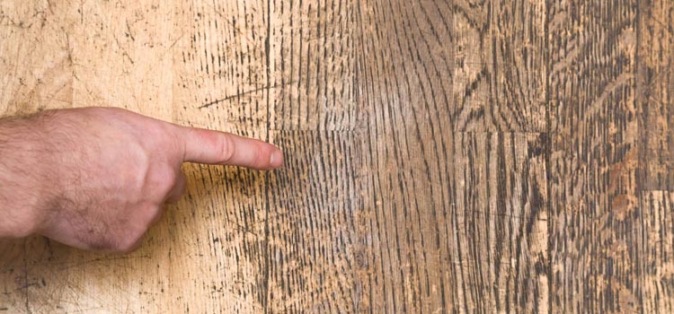 Wood Door Scratch Repair in Gilroy